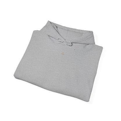 Cozy White Hoodie
