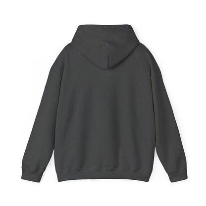 Cozy White Hoodie